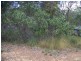 19 Belar Street, Lamb Island QLD 4184