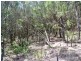 12 Cluan Street, Macleay Island QLD 4184