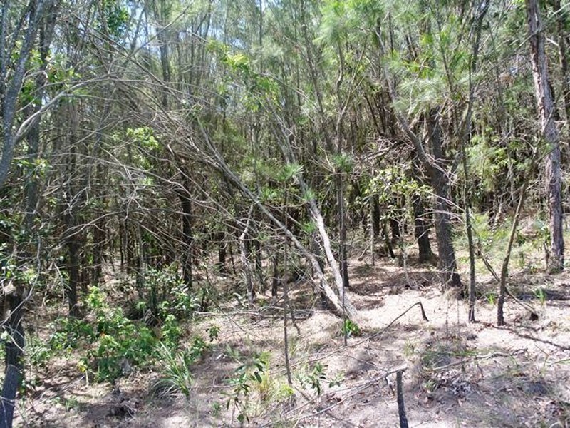 12 Cluan Street, Macleay Island QLD 4184