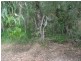 12 Dinjerra Street, Macleay Island QLD 4184