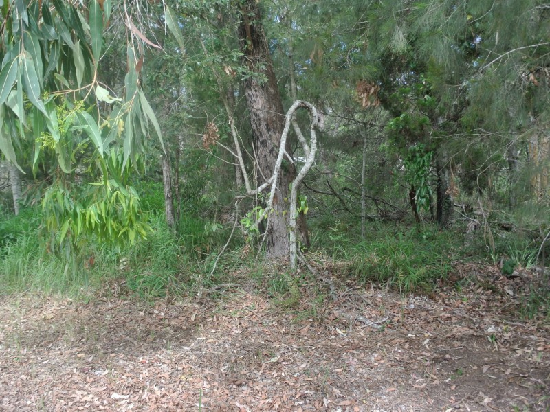 12 Dinjerra Street, Macleay Island QLD 4184