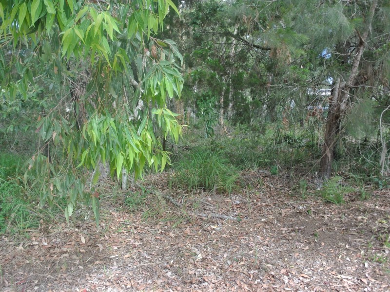 12 Dinjerra Street, Macleay Island QLD 4184
