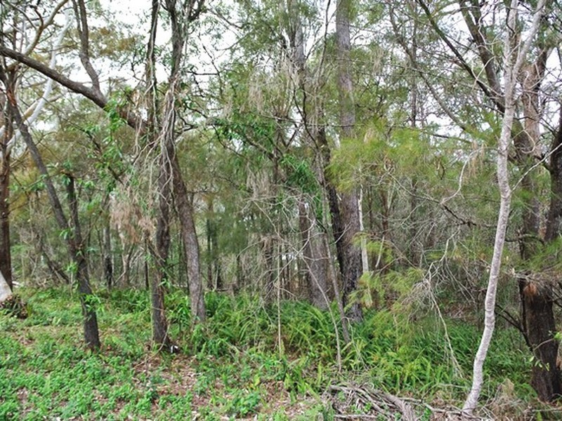 10 President Terrace, Macleay Island QLD 4184