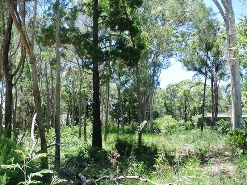 12 Ore Street, Macleay Island QLD 4184