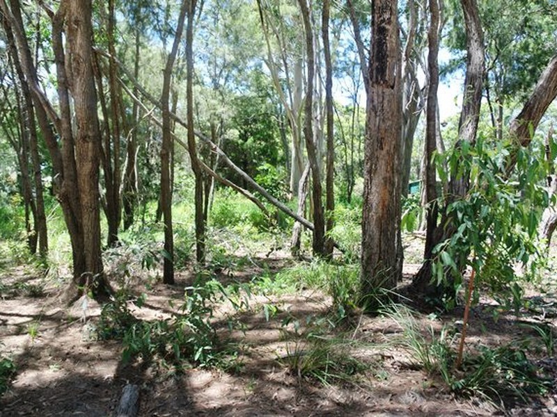 14 Ore Street, Macleay Island QLD 4184