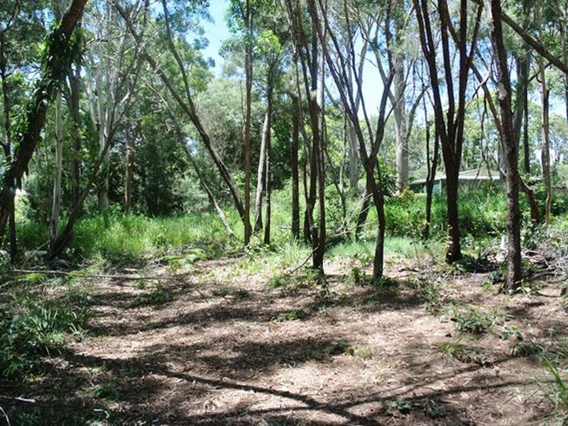 14 Ore Street, Macleay Island QLD 4184