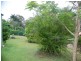 99 Western Rd, Macleay Island QLD 4184