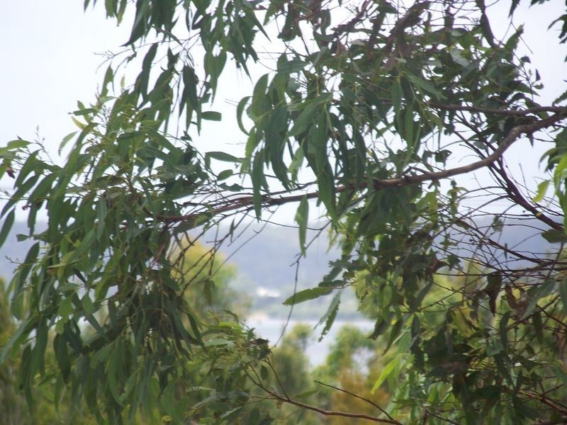 13-14 Percival street, Macleay Island QLD 4184