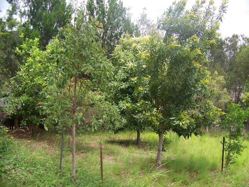 13-14 Percival street, Macleay Island QLD 4184