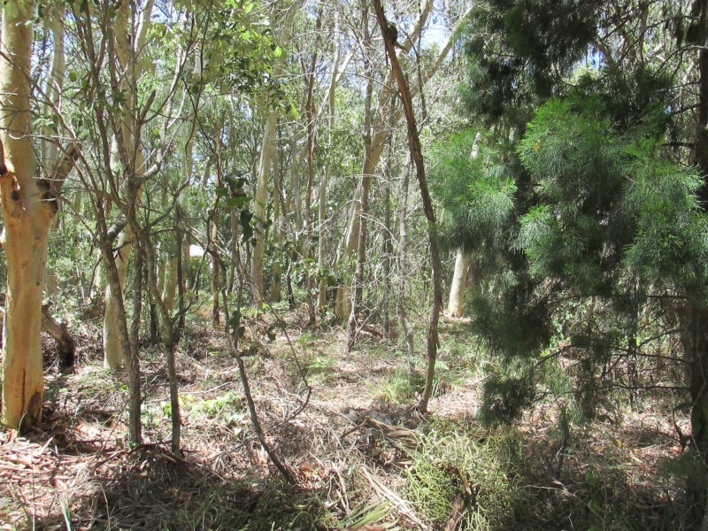 12 Parakeet Street, Macleay Island QLD 4184