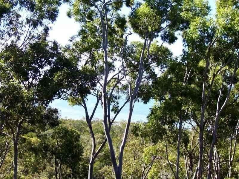 36 Blue Water Crescent, Macleay Island QLD 4184