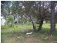 7 Glen, Macleay Island QLD 4184