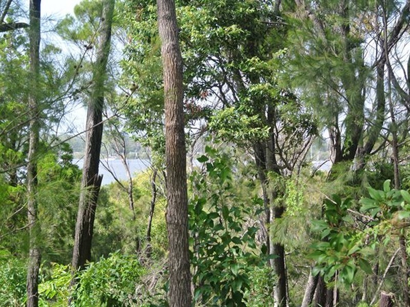 16 Deviot Street, Macleay Island QLD 4184