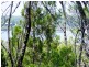 16 Deviot Street, Macleay Island QLD 4184