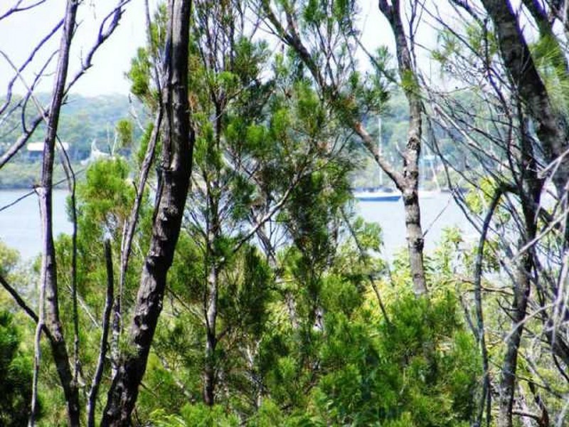 16 Deviot Street, Macleay Island QLD 4184