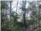 16 Deviot Street, Macleay Island QLD 4184