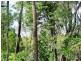 16 Deviot Street, Macleay Island QLD 4184
