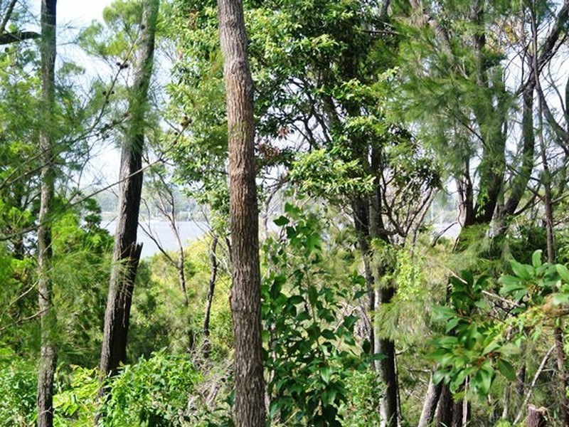 16 Deviot Street, Macleay Island QLD 4184