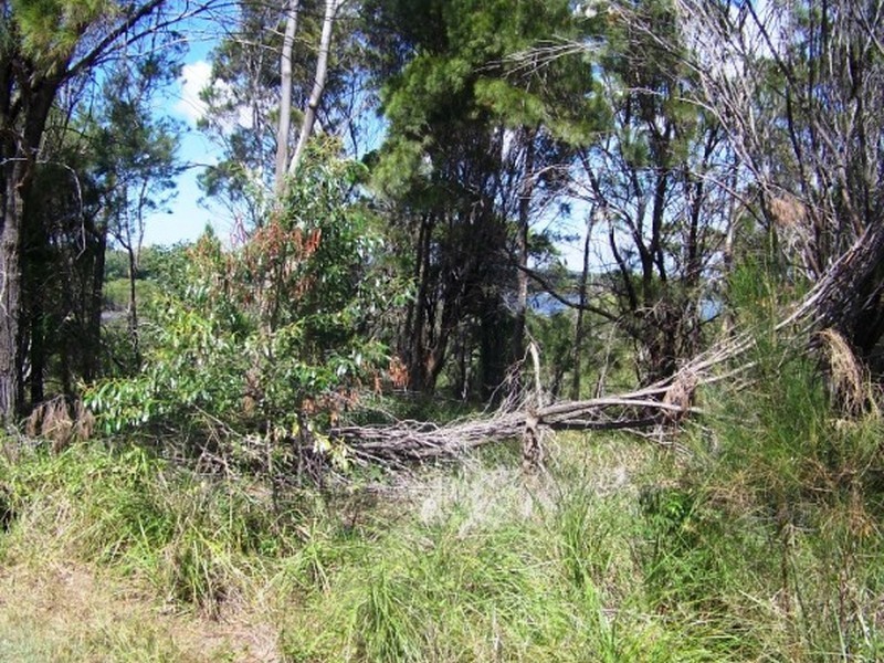 16 Deviot Street, Macleay Island QLD 4184