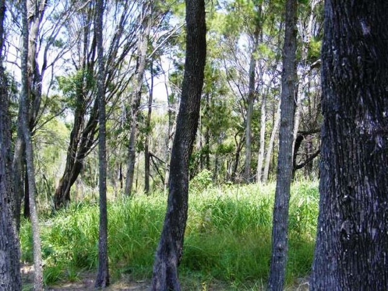 16 Deviot Street, Macleay Island QLD 4184