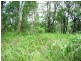 16 Deviot Street, Macleay Island QLD 4184