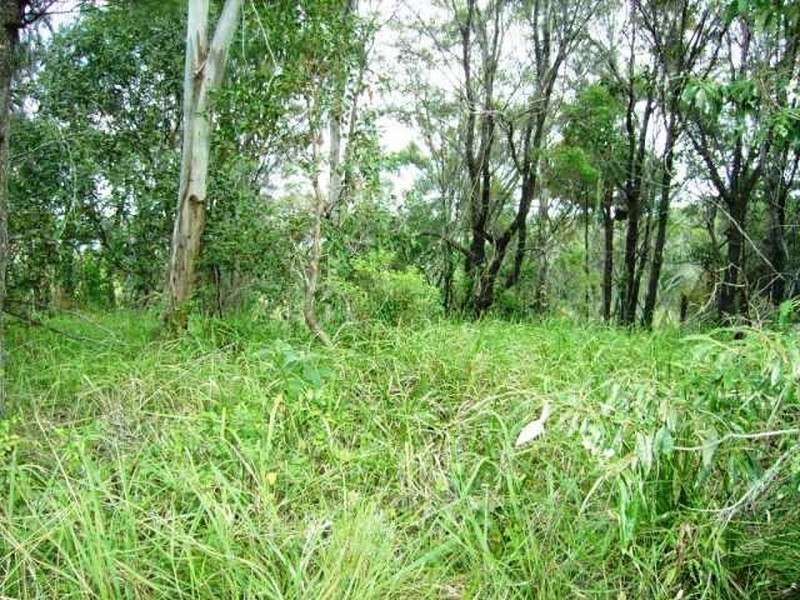 16 Deviot Street, Macleay Island QLD 4184