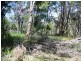 16 Deviot Street, Macleay Island QLD 4184