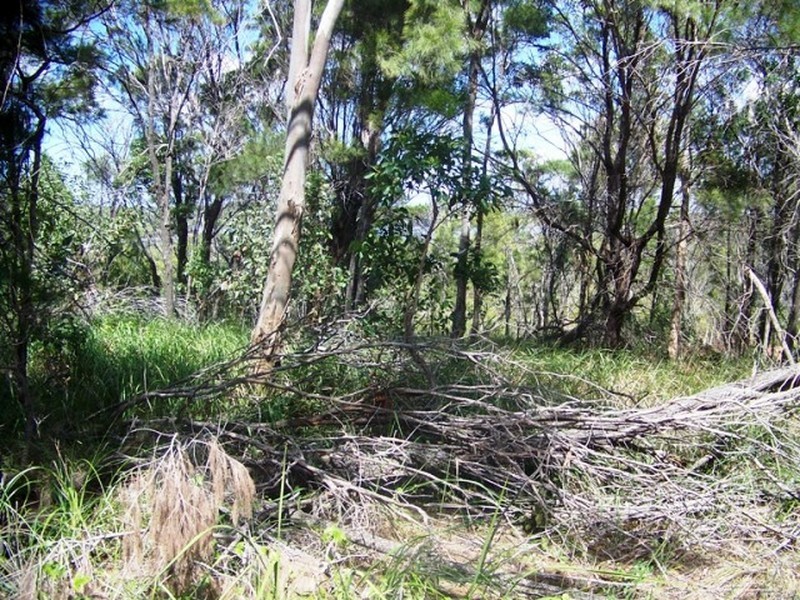 16 Deviot Street, Macleay Island QLD 4184