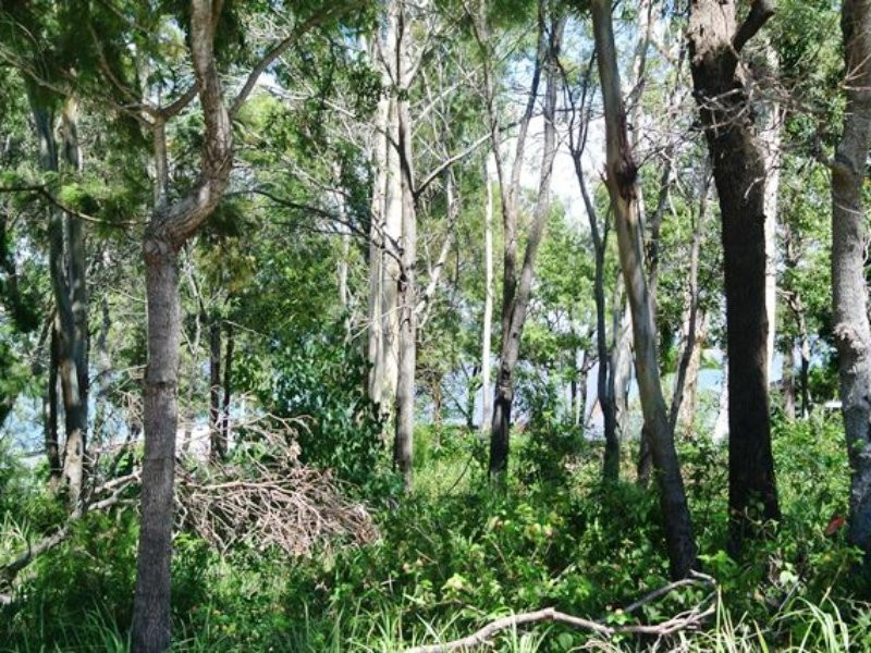 143 Kate Street, Macleay Island QLD 4184