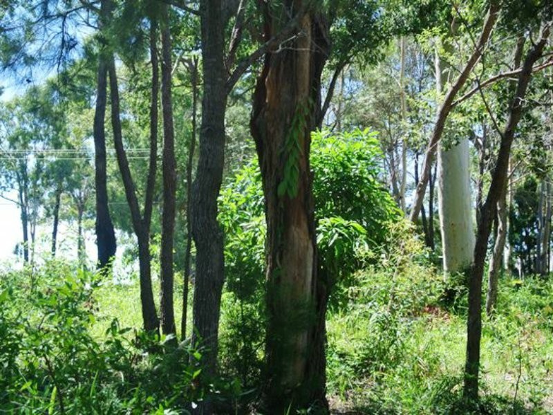 143 Kate Street, Macleay Island QLD 4184