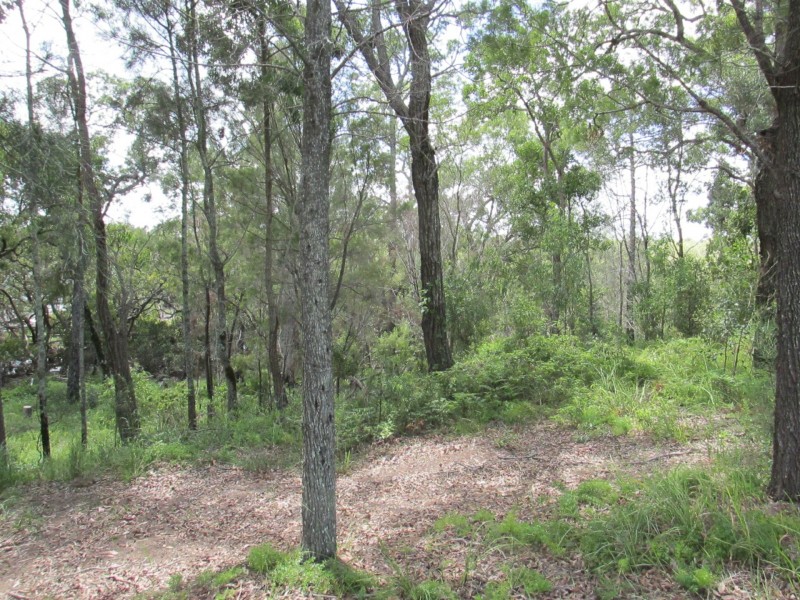 19 Beelong St, Macleay Island QLD 4184