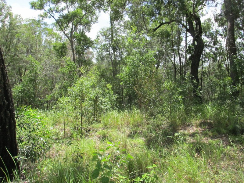 19 Beelong St, Macleay Island QLD 4184