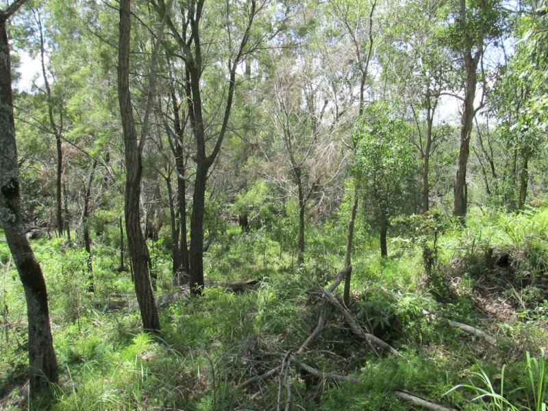 19 Beelong St, Macleay Island QLD 4184