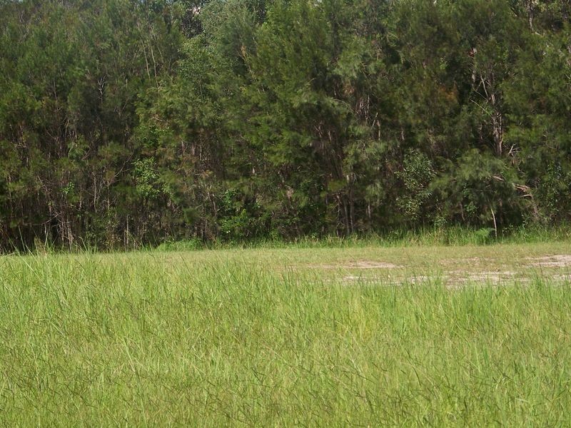 24 Pier Haven, Lamb Island QLD 4184