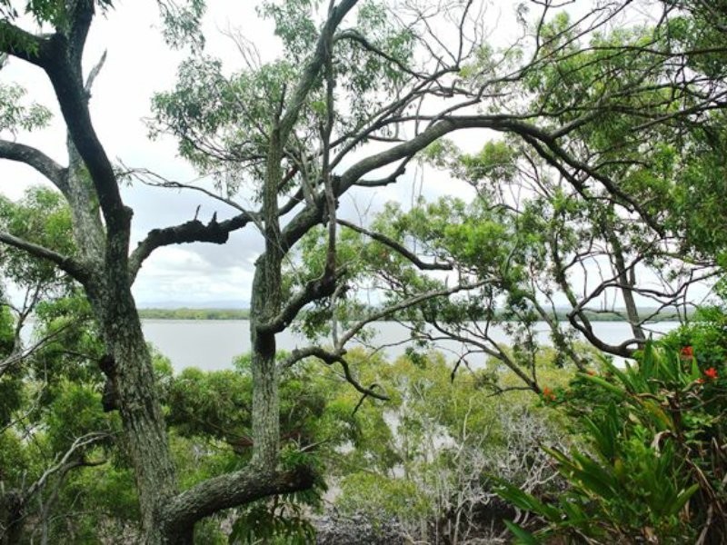 72 Western Road, Macleay Island QLD 4184