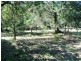 164 High Central Road, Macleay Island QLD 4184
