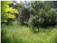 37 Southsea Terrace, Macleay Island QLD 4184