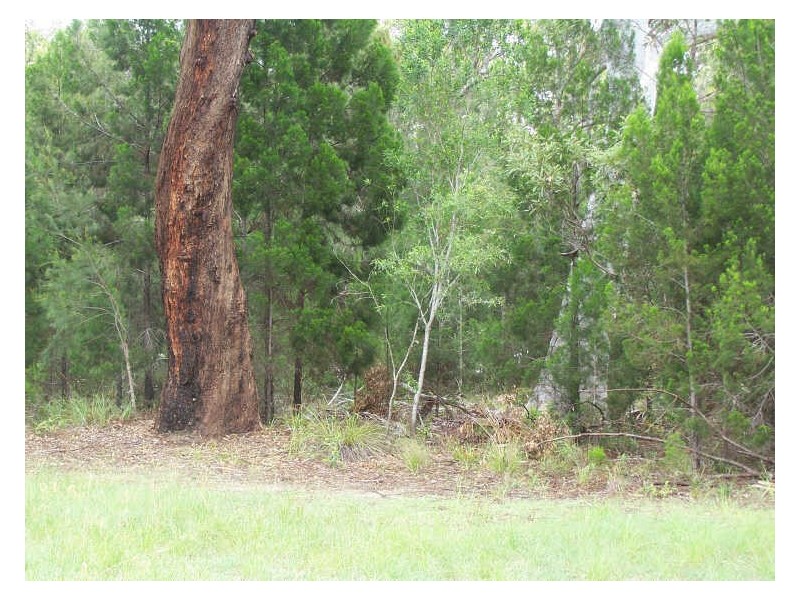 17 Natone Terrace, Macleay Island QLD 4184