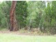 17 Natone Terrace, Macleay Island QLD 4184