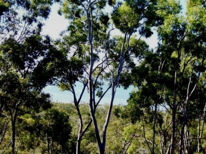 36 Blue Waters Crescent, Macleay Island QLD 4184