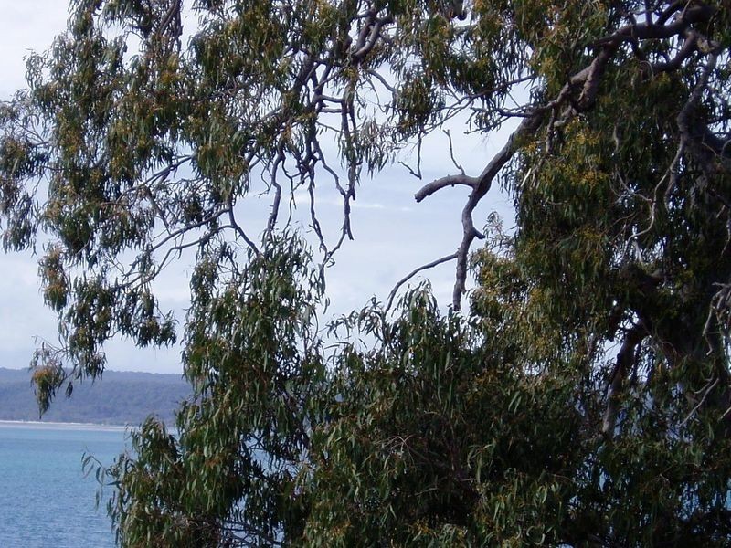 Macleay Island QLD 4184