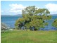 36 Coorong Street, Macleay Island QLD 4184