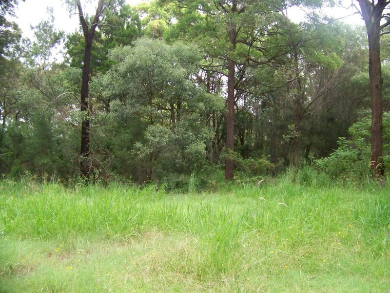 3 Acaicia Ct, Macleay Island QLD 4184