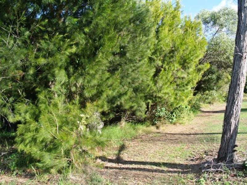 47 Timothy Street, Macleay Island QLD 4184