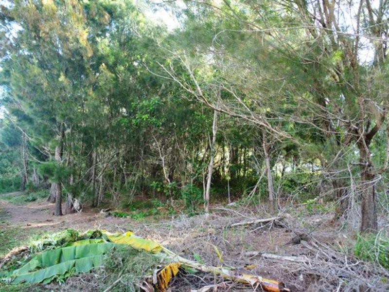 47 Timothy Street, Macleay Island QLD 4184