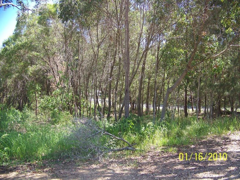 37 Francis Road, Macleay Island QLD 4184