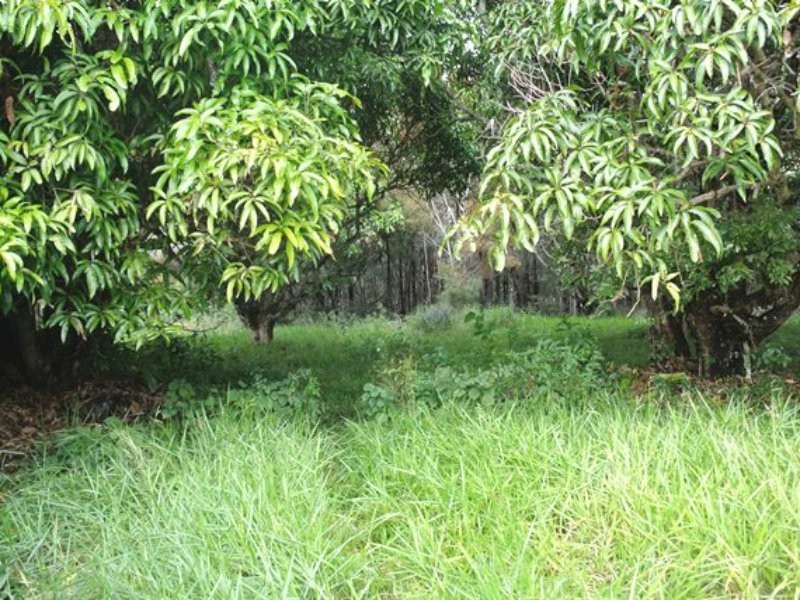 3 Quail Place, Macleay Island QLD 4184