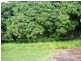 3 Quail Place, Macleay Island QLD 4184