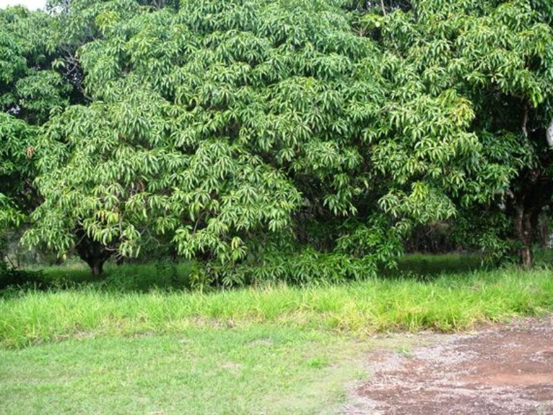 3 Quail Place, Macleay Island QLD 4184