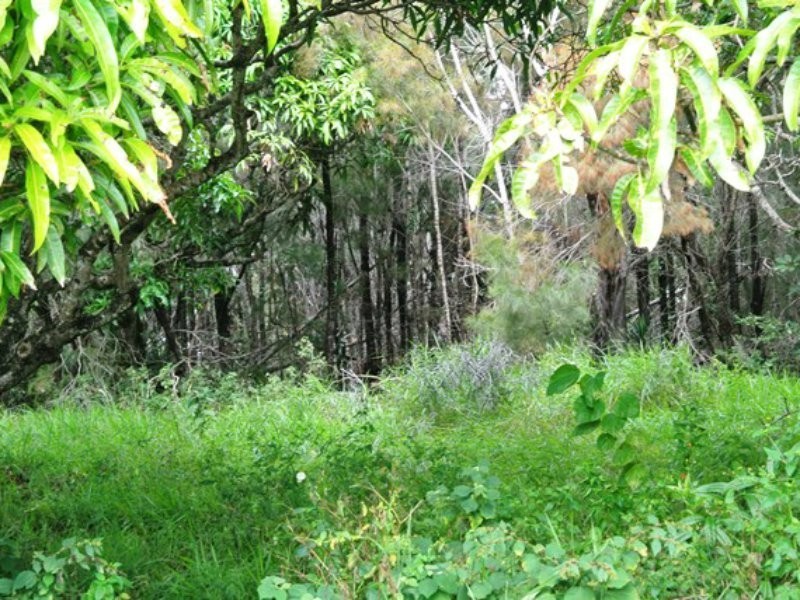 3 Quail Place, Macleay Island QLD 4184